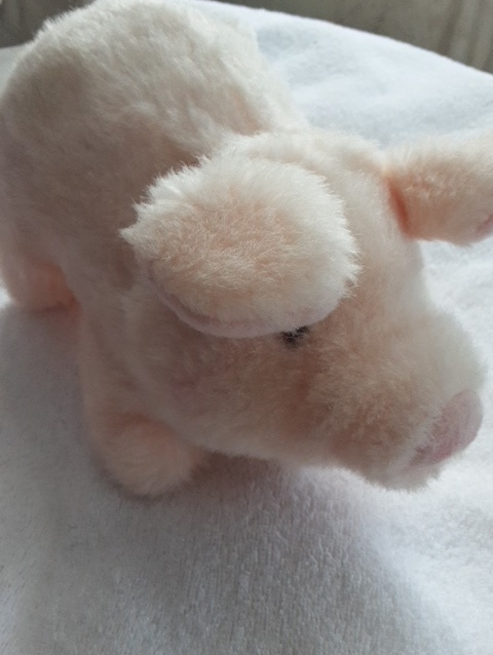 Plush Small Pet Pig Toy Walks & Grunts - Soft Cream Comfort